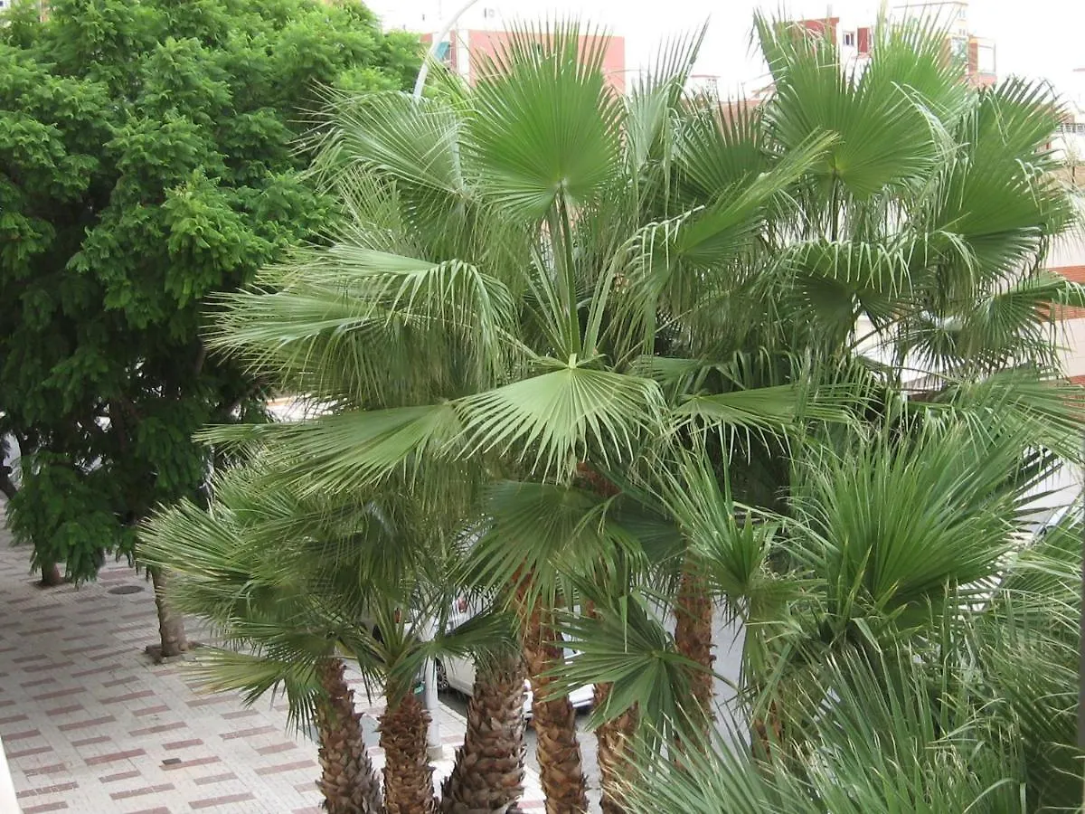 Excelente Apartamento Princesa 33 Torremolinos Apartment 0*,